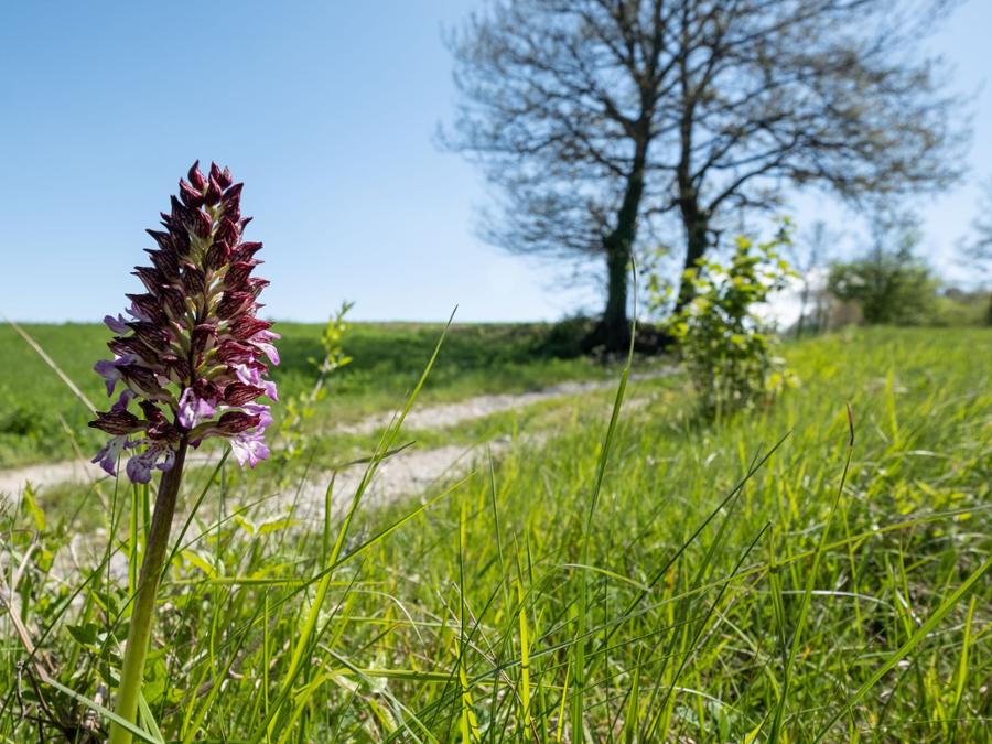 SORGENTI DEL BELBO NATURE RESERVE